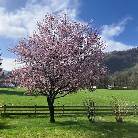 Open Garden Mountain Lodge Oberaudorf Kültér fotó