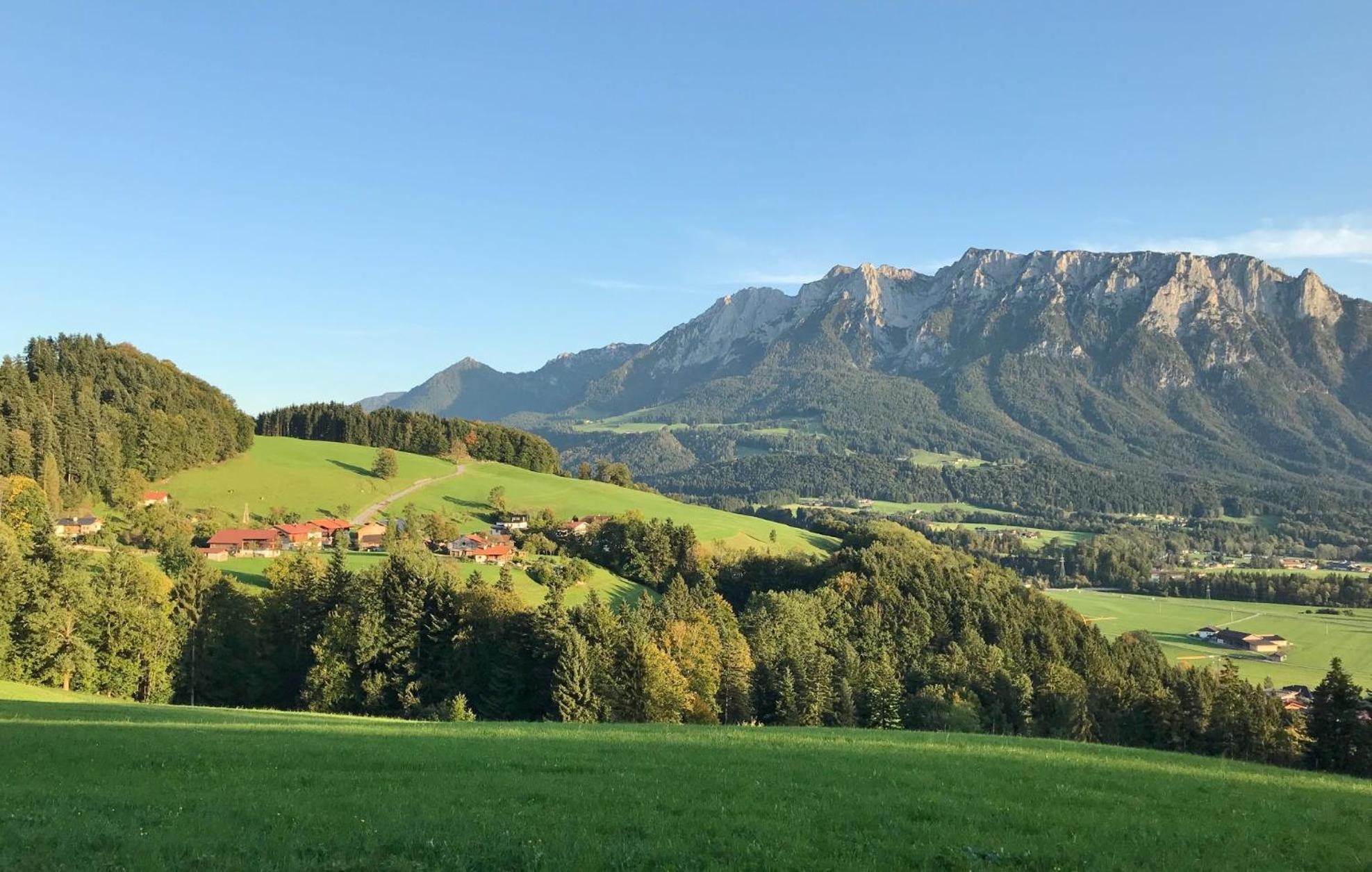 Open Garden Mountain Lodge Oberaudorf Kültér fotó